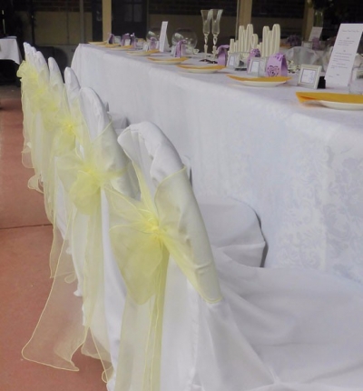 Soft lemon organza sash