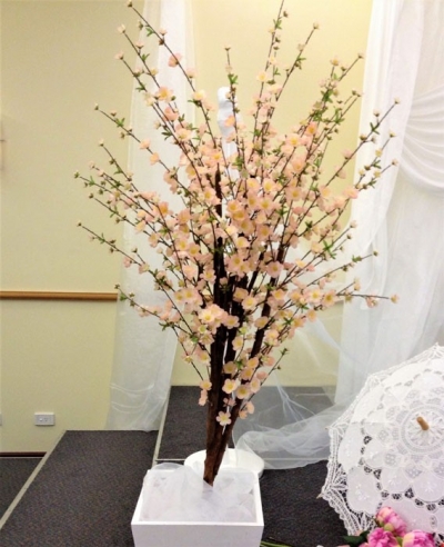 Cherry blossom tree