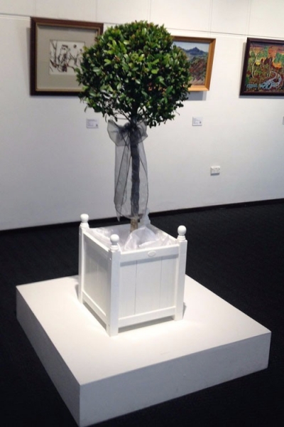 Living Topiary $55.00 each
