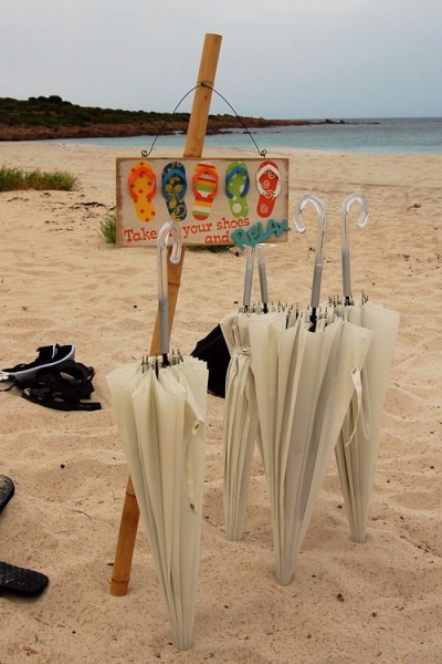 Parasols $13.20 each 6 available