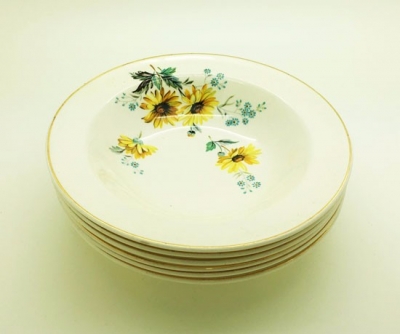 Vintage dinner plate set $2.50 per plate