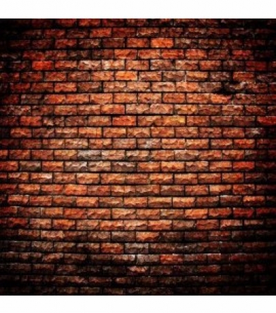 Deep Colour Brickwall 3mx3m $132.00 installed 2 available