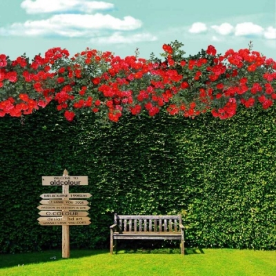 Romantic Garden 3mx3m $132.00 installed